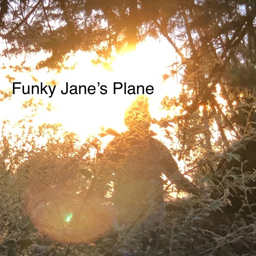 Funky Jane's Plane
