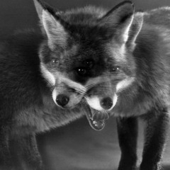 ວ dozen people in civilian clothes ວ