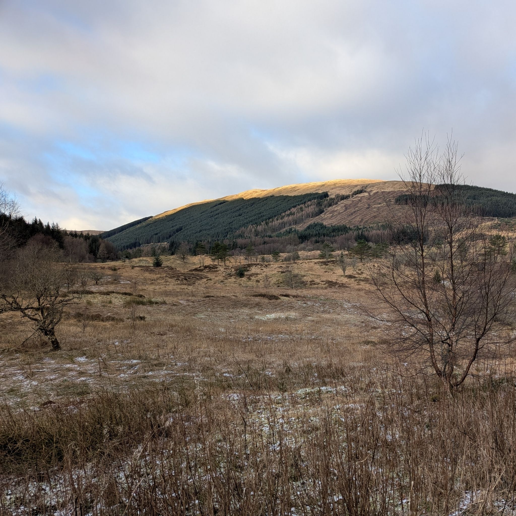 The Refractory Period #03