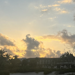 blank - lost my mind