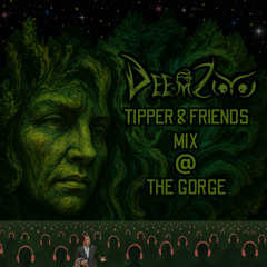 DeemZoo - Tipper & Friends at The Gorge