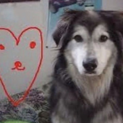 tz + oxonova - overworked