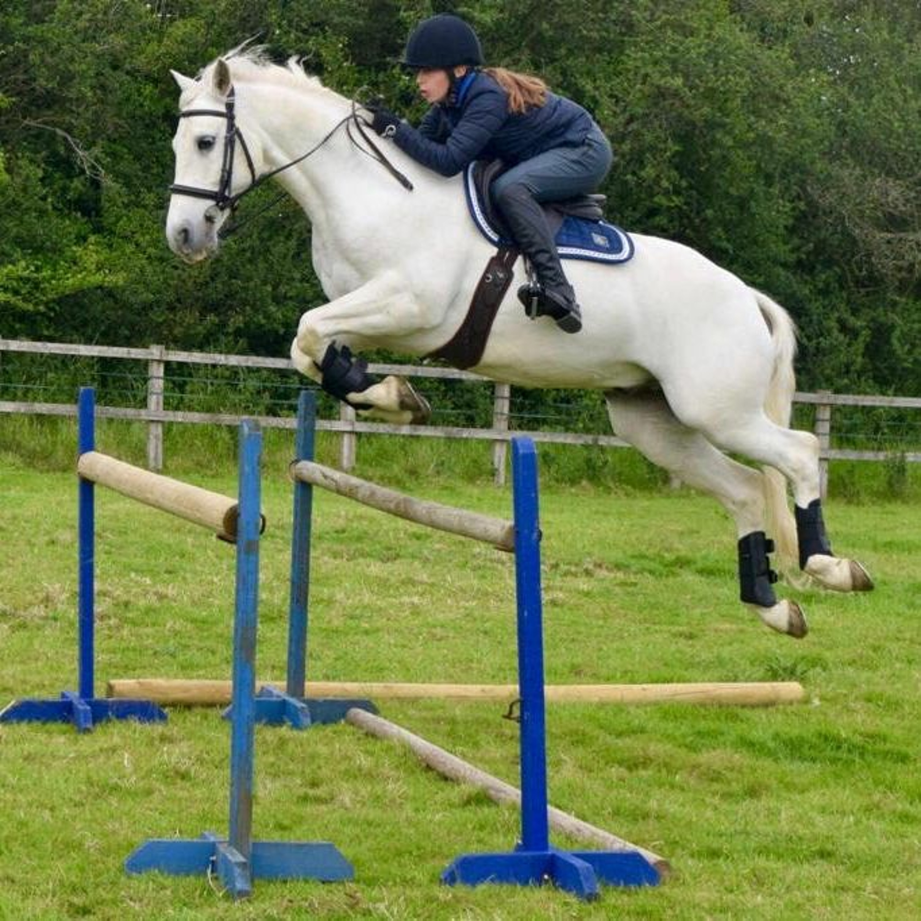 Conversations from Isolation - Episode 3 with Gracie Tyte @ Pony Nuts