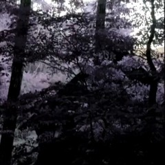 CyberElves Ambient Exploring