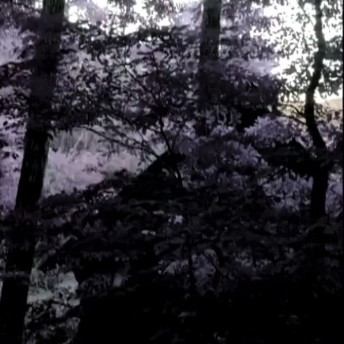 CyberElves Ambient Exploring