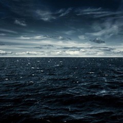 Contemplativity (live)