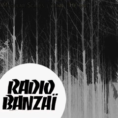 'Shapes & Silhouettes' // Bunker Broadcast: Live Techno & Electronica From Radio Banzai