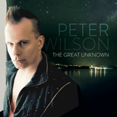 Peter Wilson - Love is Alive