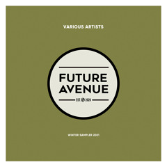 PREMIERE: Novak (notsoserious), Petra Radulovic - Desire [Future Avenue]