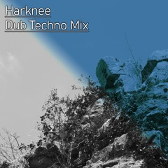 Sunny Dub Techno Mix☀️