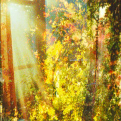 Shining Soul