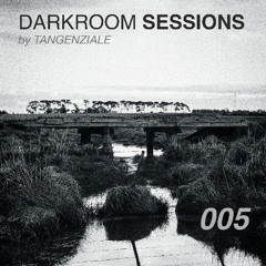 Atmospheric Drum and Bass / Jungle mix (Vinyl) - Darkroom Sessions 005 - Dec 2025
