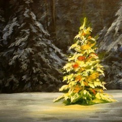 lost christmas wish