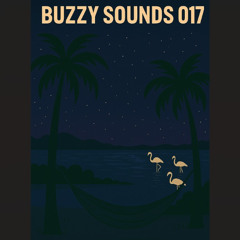 BUZZY SOUNDS 017