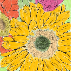 how i know. // LR sessions