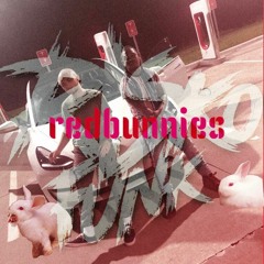 redbunnies(feat. Yung Abe)[prod. RiskoFunk}