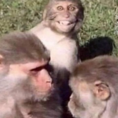 SteakHouse (Prod. ynaxeee!)