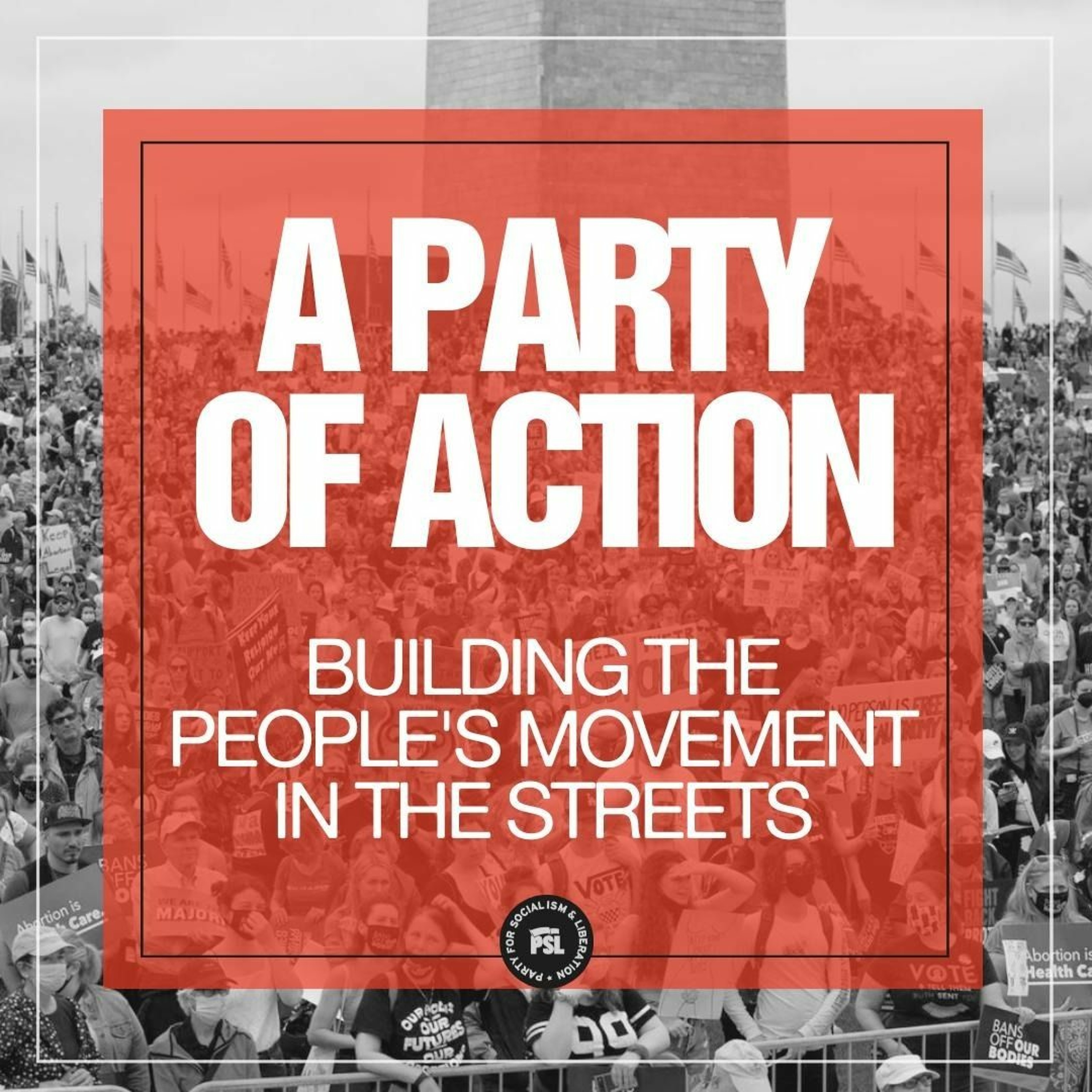 A party of action: Building the people’s movements in the streets