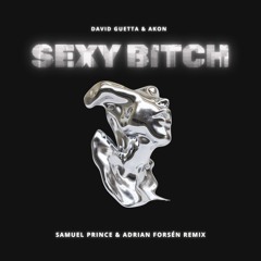 David Guetta - Sexy B*tch [Samuel Prince & Adrian Forsen]