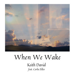 When We Wake (feat. Carla Zilles)