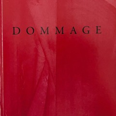 Épisode 2 : Alexandre Gouttard, "Dommage"
