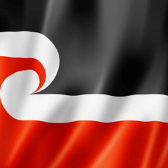 nz viet Irish Forever You (As the Crow Flys Version) (Remix)