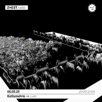 Soundcloud podcast image for Bathymétrie - Lude 