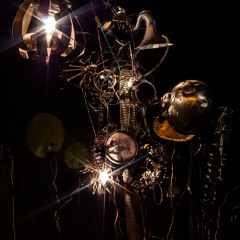 L'Electric Botanic 2018 rencontre avec Mixel Etxekopar