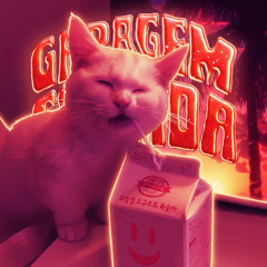 GARAGEM SENTIDA (Slowed)