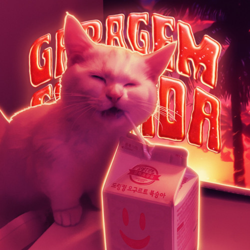 GARAGEM SENTIDA (Slowed)