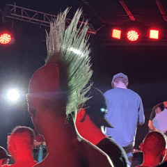 Мертвые крысы - Purgen