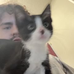 Real Talk Freestyle (produced by clvr)