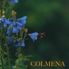 Colmena (feat.Whizz)