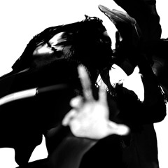 November Samples 2o25 (w/ Shirin & Bartek)