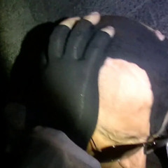 dracula flow 5