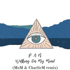 P A N - Walking On My Mind (MoM & CharlieM Remix) [trndmsk]
