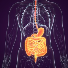 Combining Regorafenib and TAS102 to Target Gastrointestinal Cancers and Overcome Cancer Stemness
