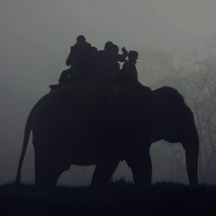 Longing for Paradise