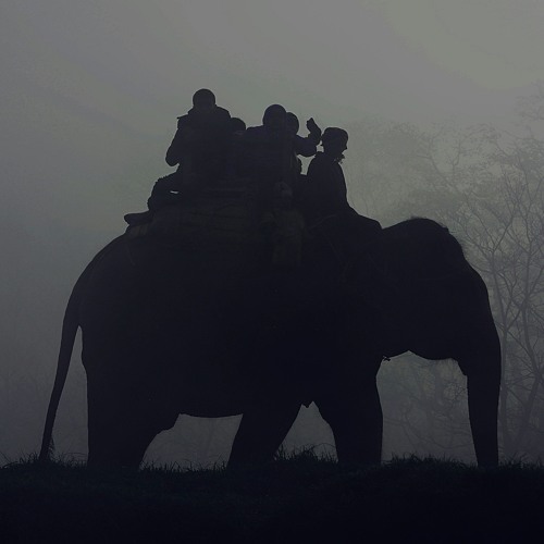 Longing for Paradise