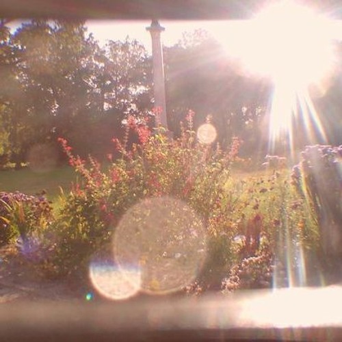 sunlight breaksthrough fog