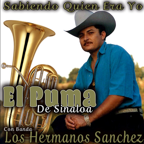 longitud Paso Desafío Stream El Puma De Sinaloa | Listen to Sabiendo Quien Era Yo playlist online  for free on SoundCloud