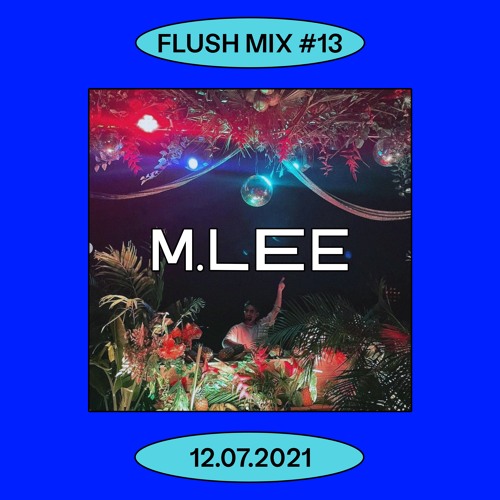Stream Flush Mix #13 | M. LEE by Flush Community | Listen online for ...