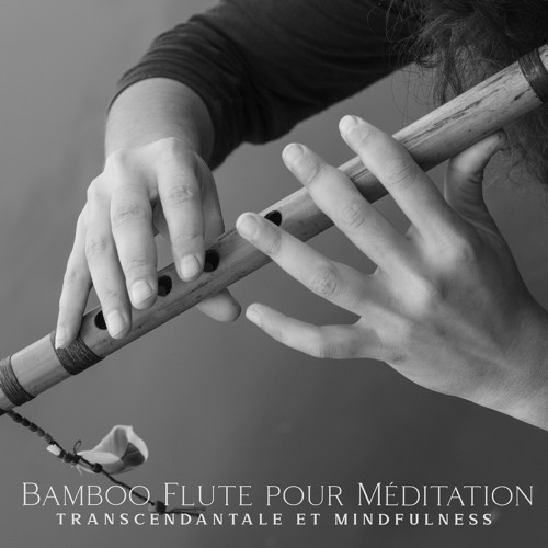 Stream Shamanic Drumming World Listen to Bamboo Flute pour Méditation
