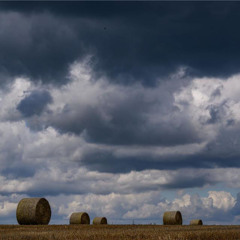 Oliver Tree - Miss You (HardTekk Remix)