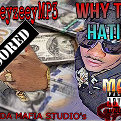 WHY THEY HATING BEAT PRODUCE BY : ELEMENTARY