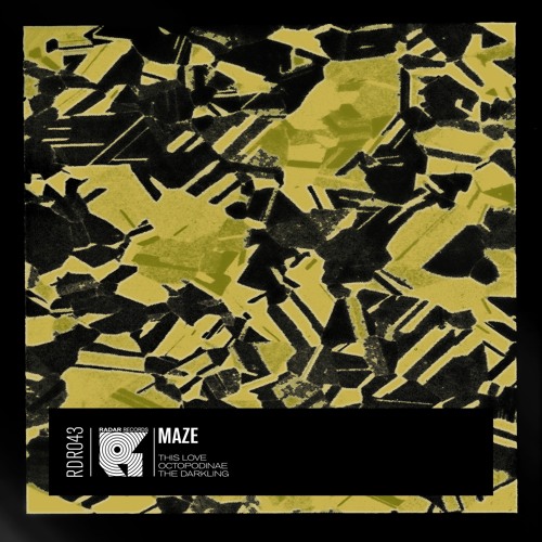 Maze - Octopodinae
