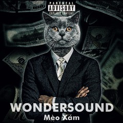 Rắn Đan Trường - Mèo Xám ft Eoauci