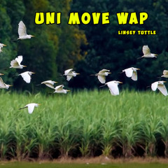 Uni move wap