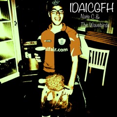 IDAICGFH- Nate C & The Wavebirds