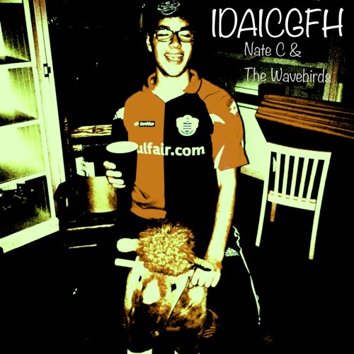 IDAICGFH- Nate C & The Wavebirds